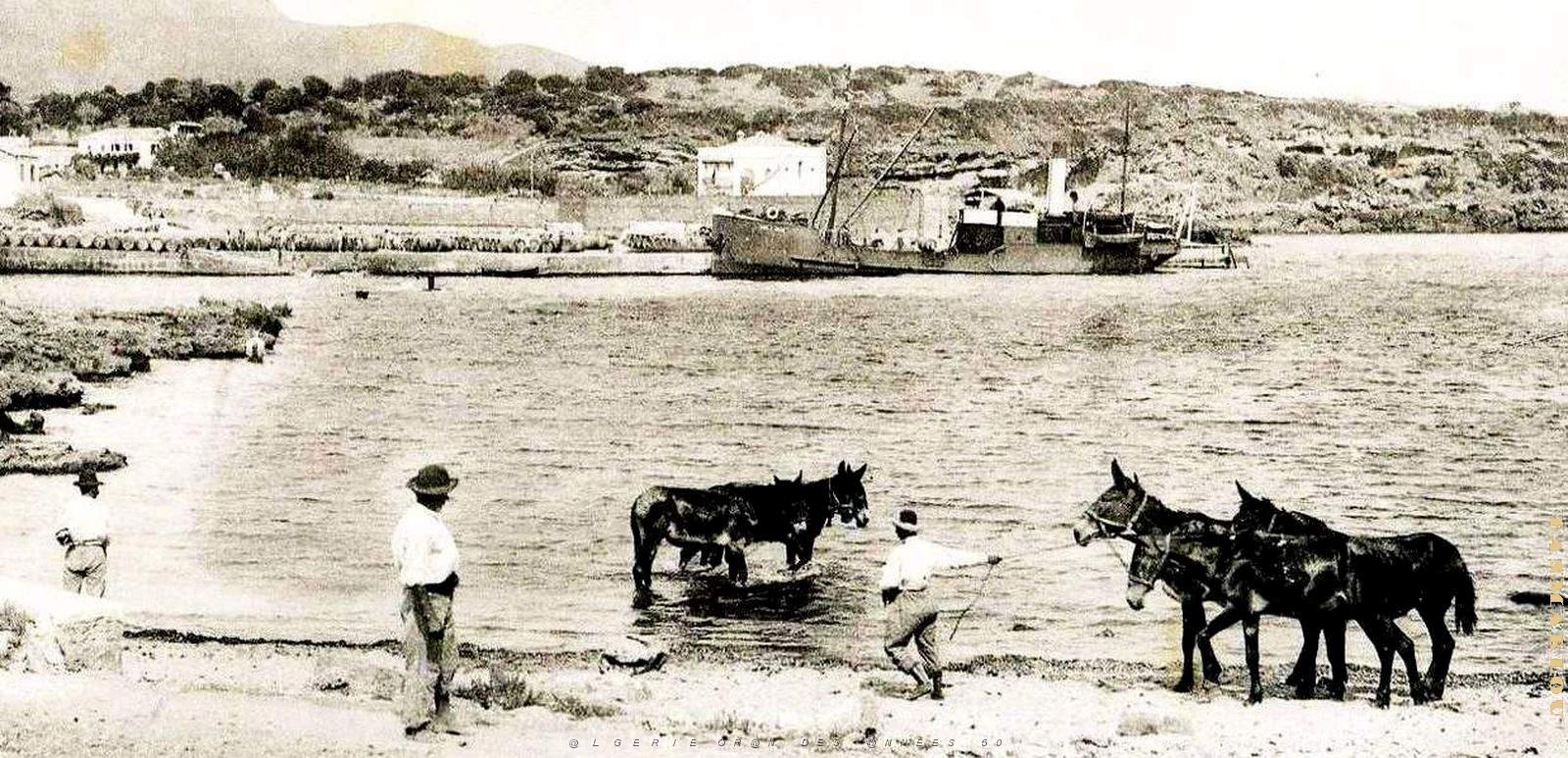 2639- Tipaza - Plage - Quai - Colline des Temples2 - 1916.jpg